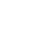 decoy